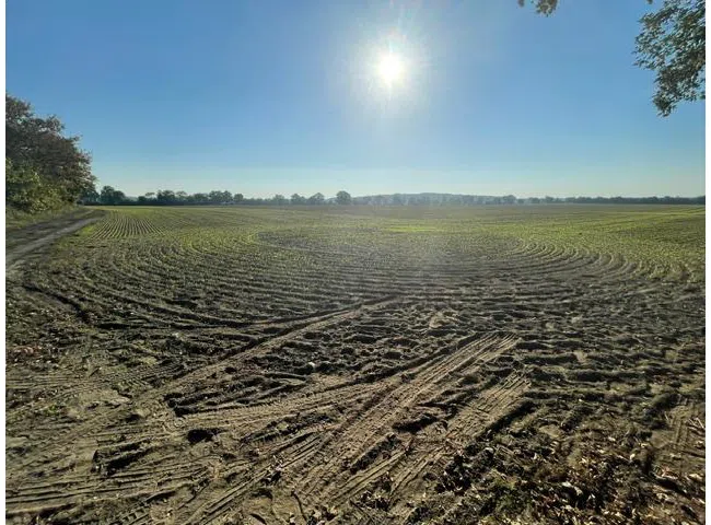 image2 (9)