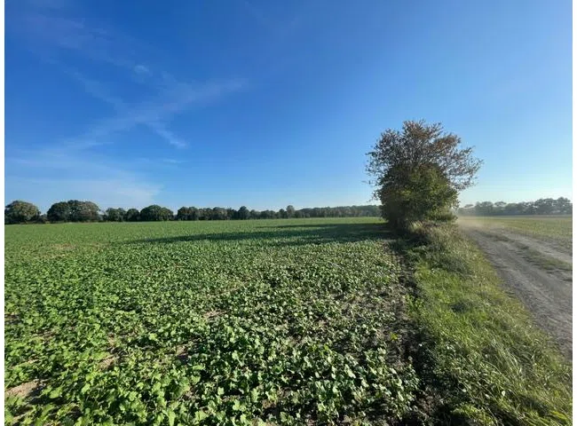 image1 (11)
