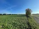 image1 (11)