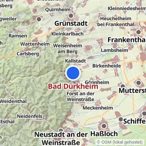 Kartenvorschau Bad Dürkheim