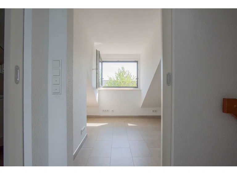 Zimmer DG