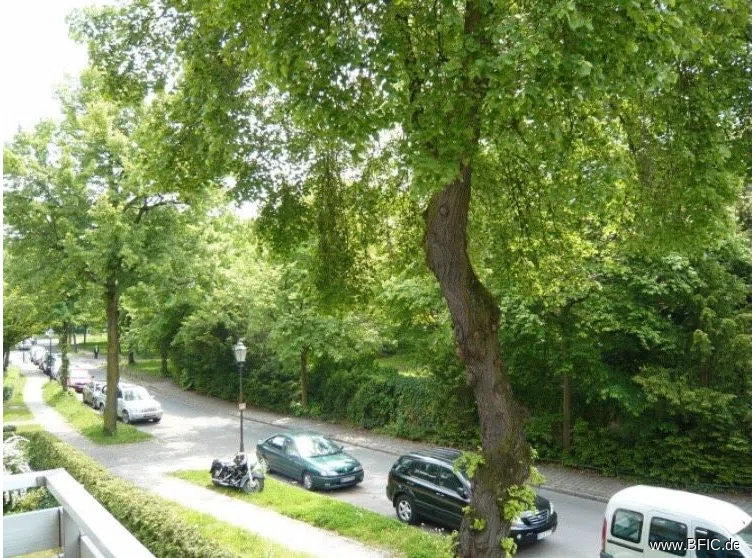Blick vom Balkon
