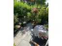 Wohn-Esszimer Terrasse