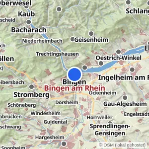 Kartenvorschau Bingen am Rhein