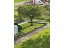 12 Garten Rückseite
