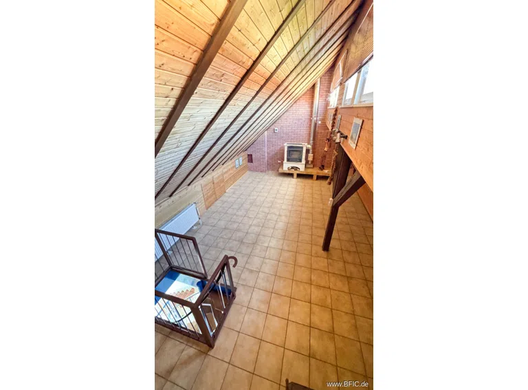 DG Studio