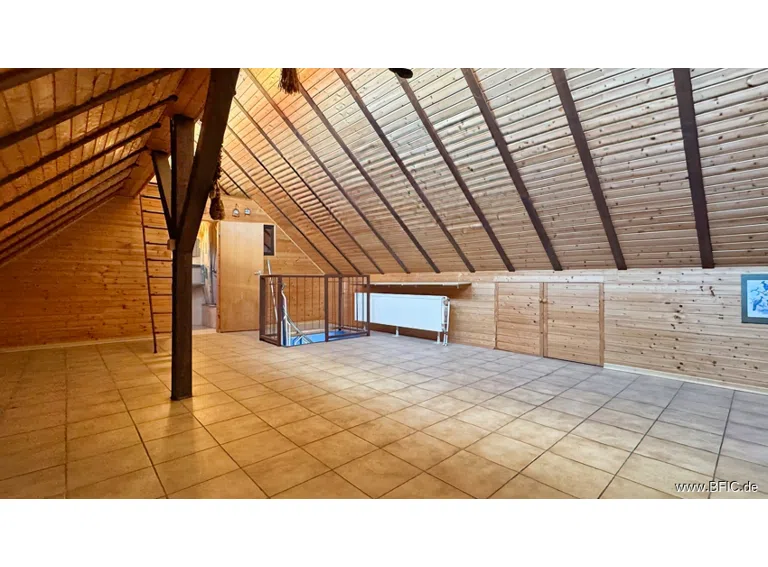 DG Studio