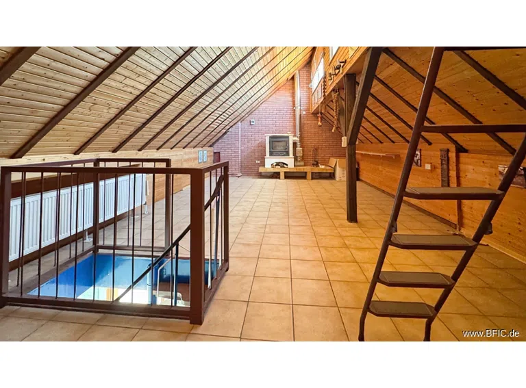 DG Studio