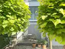 Terrasse Einliegerwohnung
