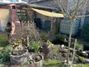 gemeinschaftl. Gartenbereich