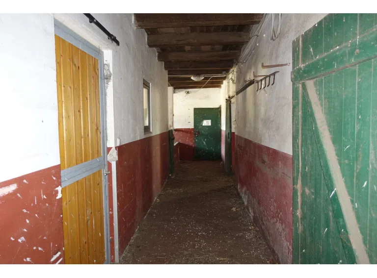 Zugang Stall