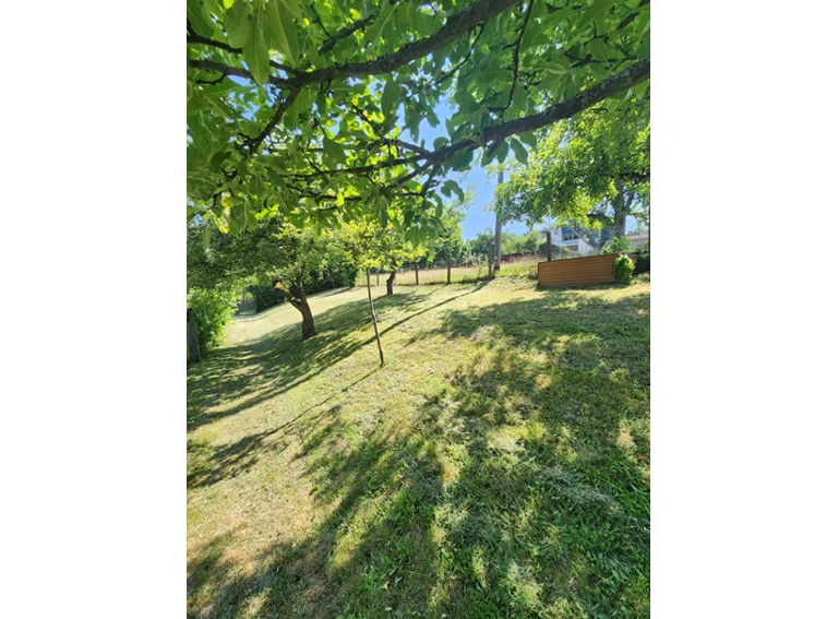 HB24 Blick i.d. Garten