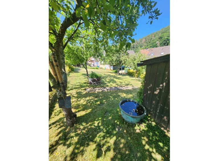 HB24-3 Blick i.d. Garten
