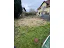 3 Garten