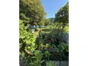 18 DG Garten und Sicht zur Mosel