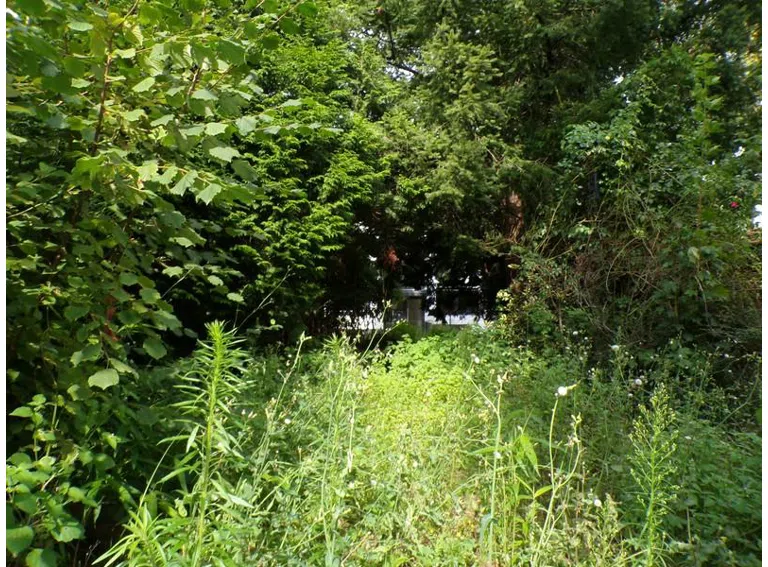 3 Grundstück (Blick Richtung vorderer Bereich)