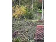 Titelbild für Ein Traumgrundstück in Leinsweiler – oberhalb der Rheinebene, in einer