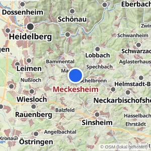 Kartenvorschau Meckesheim