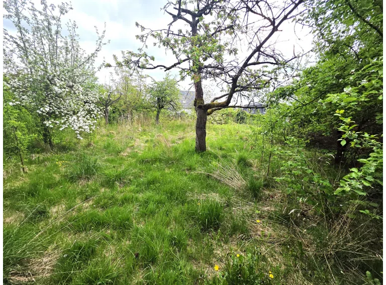 Garten mit Obstbaumbestand