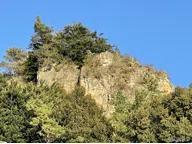 Bild von Campingplatz in beliebter Urlaubsregion - umsatzstarke Vollexistenz Gewerbe, in Mürlenbach, 200.00 m²