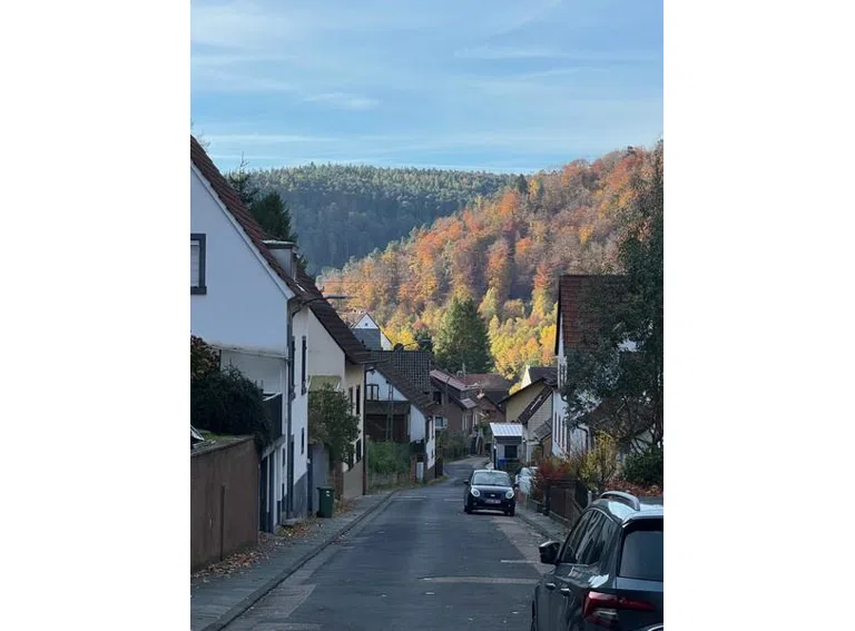 6 Talblick