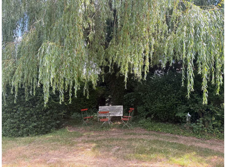 Sitzplatz unter der Weide
