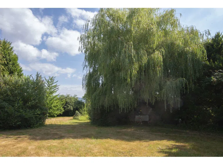 Gartenimpression