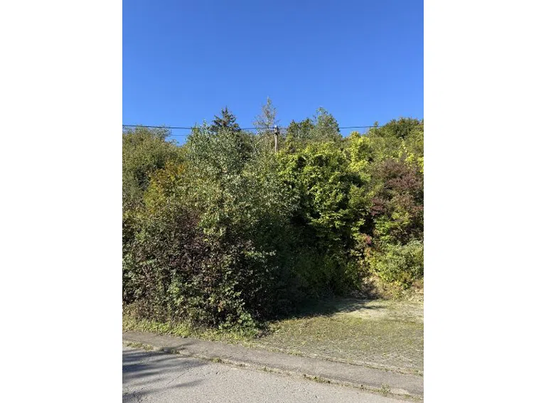 Bild 5 Blick von der Seite,Ortsstraße