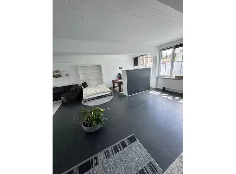 1c Loft - Schlaf + Arbeitsbereich