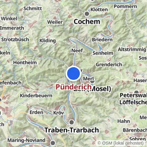 Kartenvorschau Pünderich