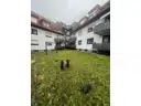 46 Gartenbereich