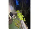 25 OG Balkon 2