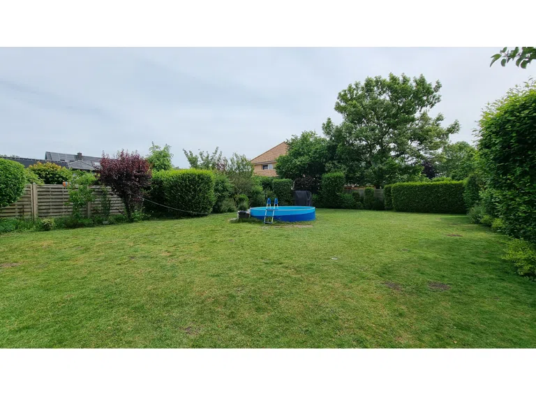 Garten / Baugrundstück
