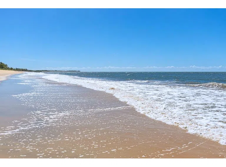Strand2